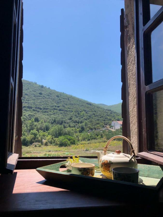 Holiday Home Villa Kastel Zrnovo Exteriér fotografie